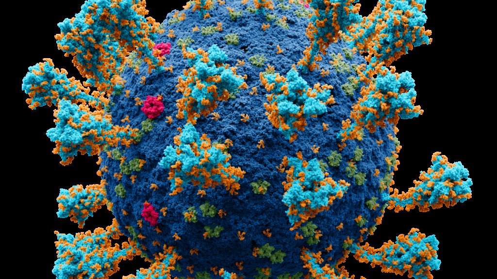 Coronavirus._SARS-CoV-2