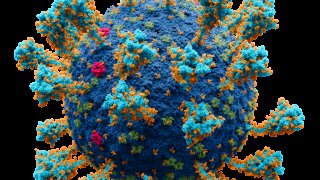 Coronavirus._SARS-CoV-2