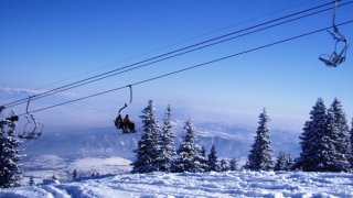 vitosha
