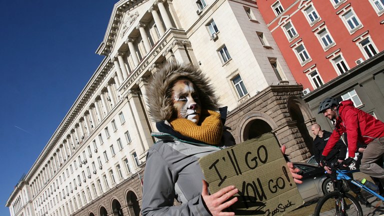 Министър Нено Димов дойде на протеста за лъвчетата Терез и Масуд
