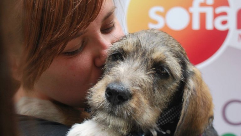 8 кучета намериха нов дом с "Подари си приятел"