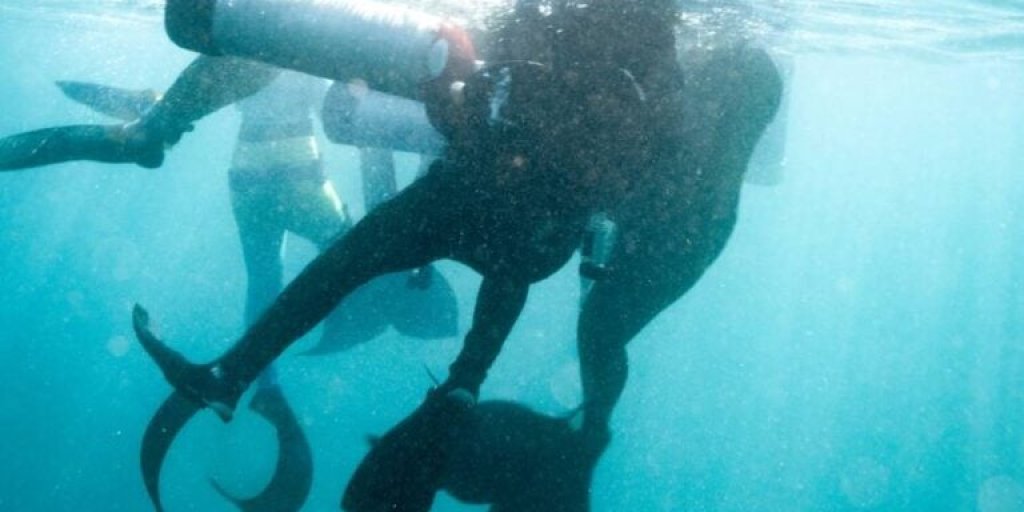mermaid-scuba-rescue-768x512