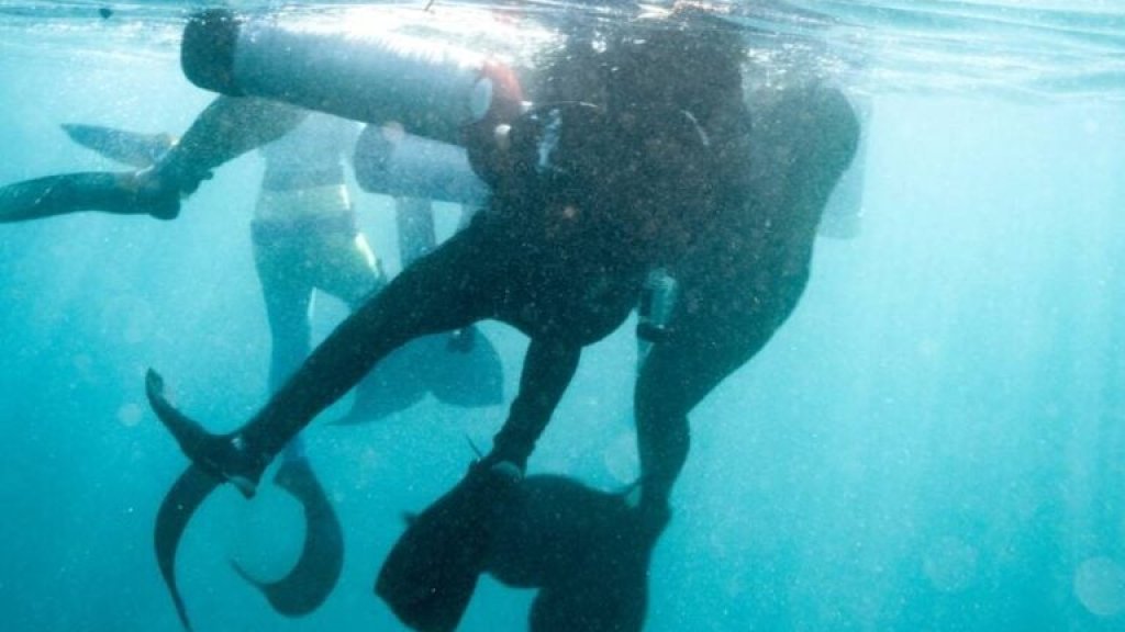mermaid-scuba-rescue-768x512
