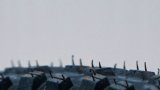 streetsh-r_d4JmJPniU-unsplash