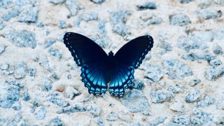 andra-c-taylor-jr-IC8zpKz6qF0-unsplash
