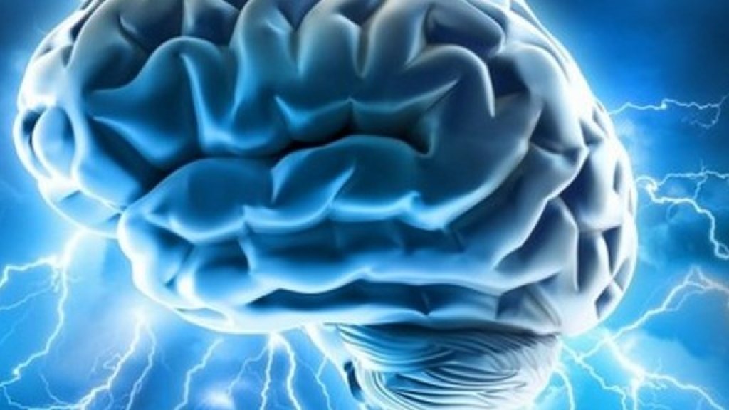 brain