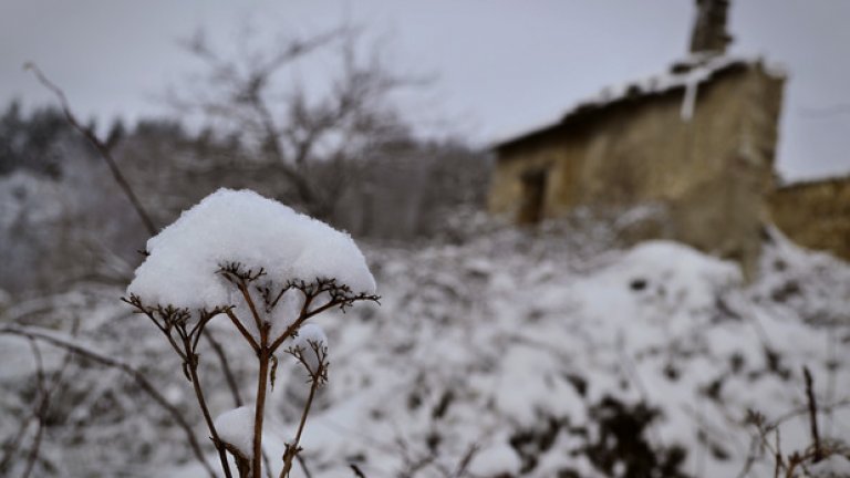 Зимата моделира облика на изоставената махала, изменяйки я според прищевките си - ту мрачна, ту меланхолично красива...
