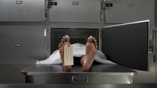 gty_morgue_toe_tag_nt_110725_wg