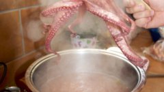За да се яде, октоподът трябва да премине през сложна термична обработка