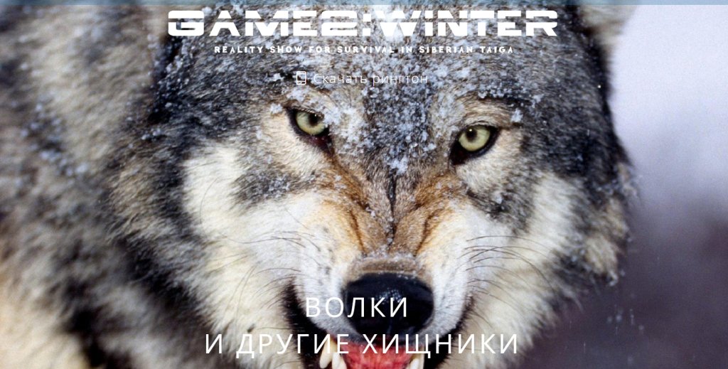 руско риалити