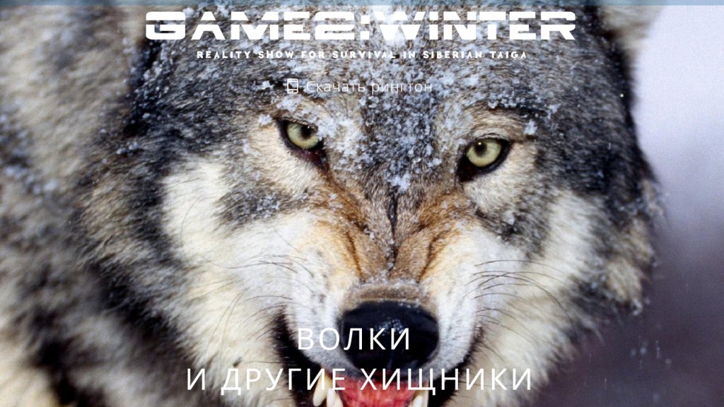 руско риалити