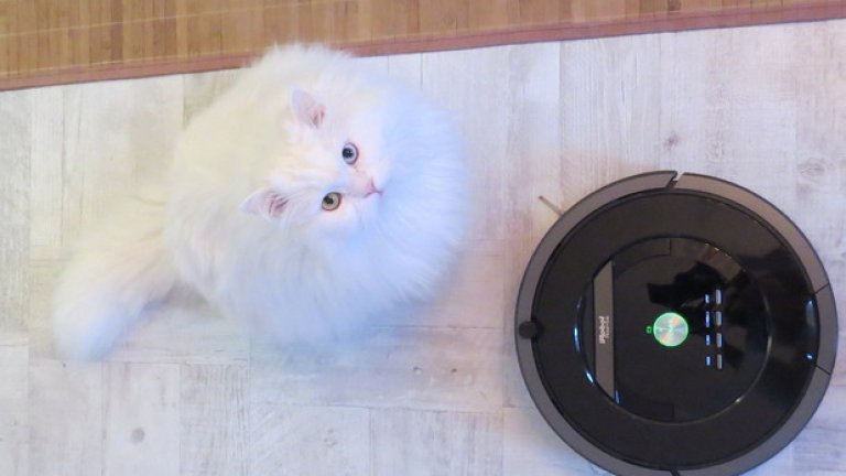 Пролетта дебне отвсякъде