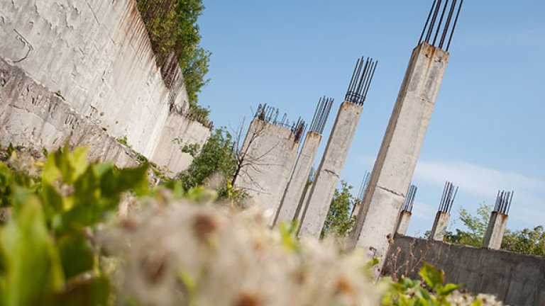 Растенията настъпват по всички фронтове