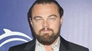 leonardo-dicaprio-oceana-seachange-facial-beard-hair-081614-9-600x450