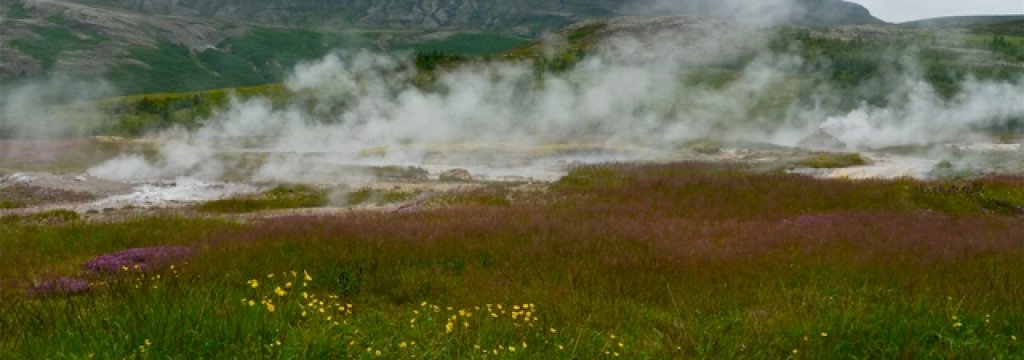 Steam
