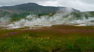 Steam