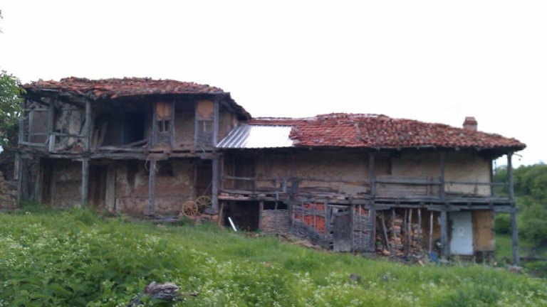 За Дивата ферма, тарпаните, Шенген и "дуфнатите валички" с любов