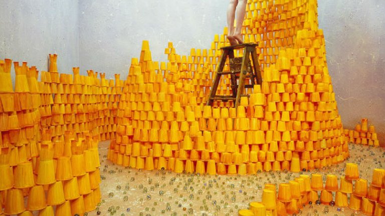 Приказки в стая