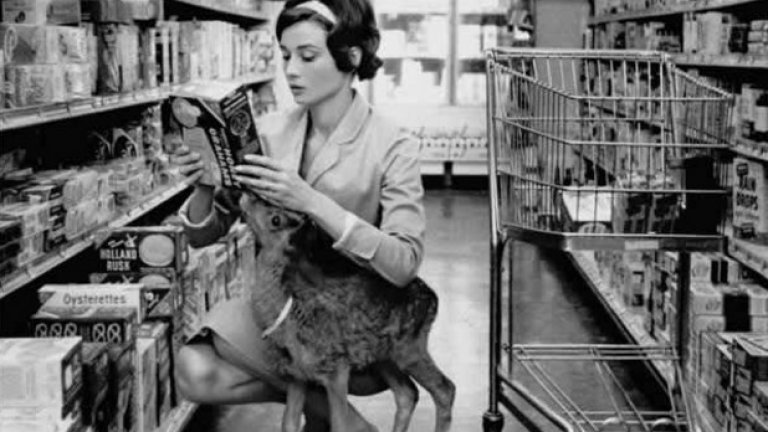 Одри Хепбърн пазарува с домашния си любимец - сърна. Бевърли Хилс, Калифорния, 1958-ма
