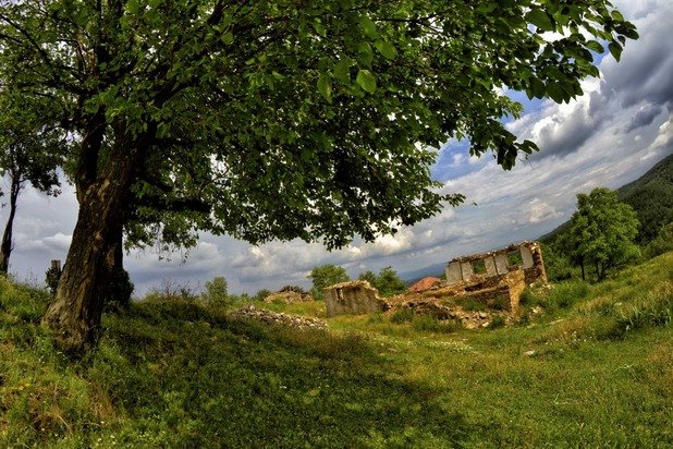 Овощните дръвчета ще напомнят за хората, които са ги посадили, много след като и последният камък от къщите им се превърне в прах