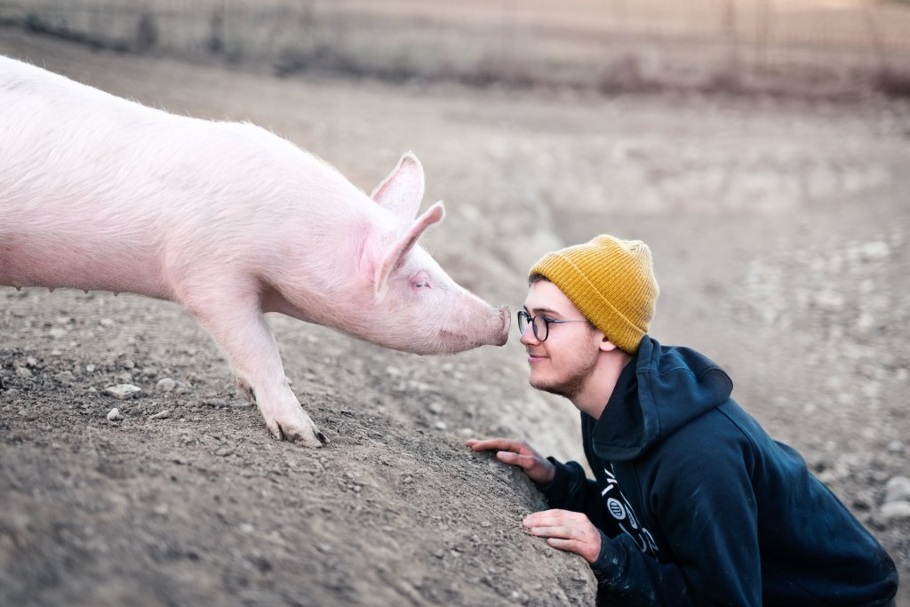 benjamin-wedemeyer-fwafgljc0f0-unsplash