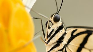 boris-smokrovic-RC1li9DyahM-unsplash