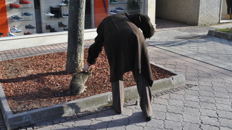 Враца на бунт за справедливост (видео)