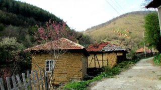 Еленов дол
"Замръзнало, автентично, с керпичени къщи" - така ни го описва журналиста Мария Лазарова, която беше причината да обърнем внимание на иначе непознатото за масовия турист село Еленов дол. Тя е от планинарите, които обикалят неспирно из Свогенските забележителности, затова можем да ѝ се доверим, когато откроява него като едно от красивите кътчета на този район.
 
Селото се намира в планински район с живописен релеф в Софийска област, на 45 км североизточно от град Своге. Постоянното му население наброява едва около 70 души. При толкова малко жители вероятно се досещате, че това е от онези селца, в които ще бъдете гостоприемно посрещнати и някой местен със сигурност ще иска да сподели с носталгия колко живо е било преди.