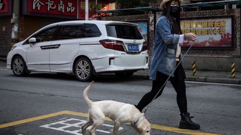 За да не умрат от глад и жажда сега доброволци от града работят с животните денонощно.