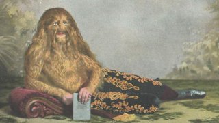 Barnuma-kolekcija-6