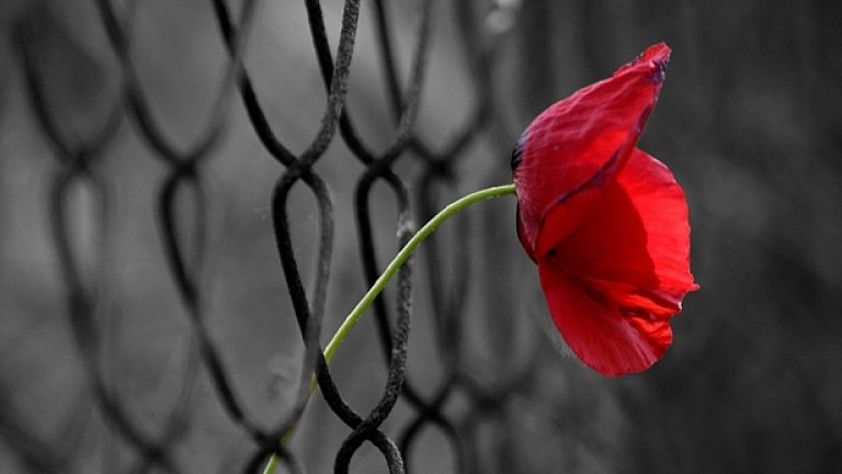 Нека те изчакат малко