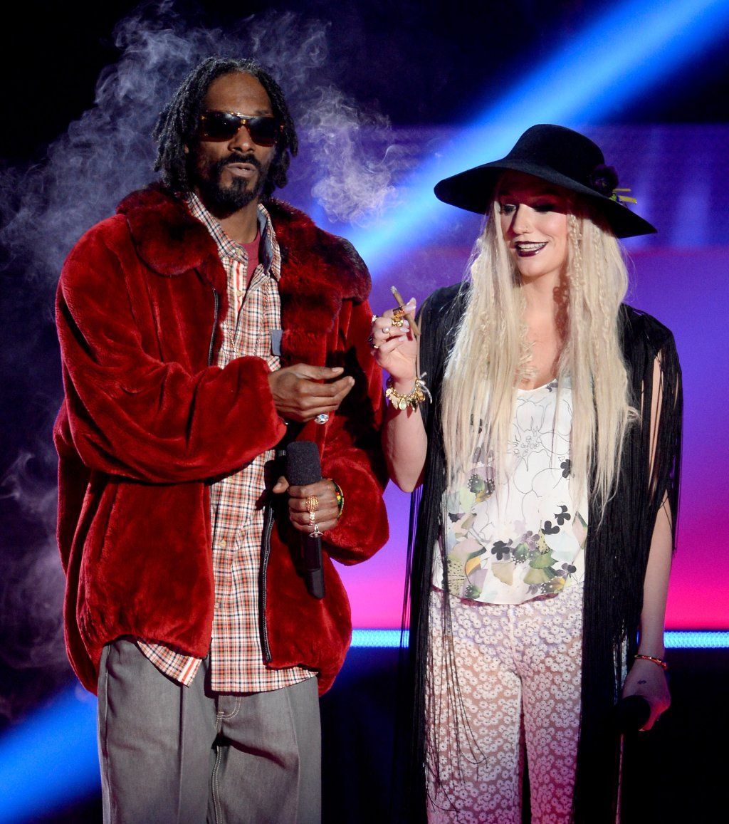 Оставяйки верен на вижданията си, Snoop Dogg и Kesha запалиха джойнт на сцената. Публиката полудя, когато двамата имаха кратка дим пауза след като обявиха предстоящото изпълнение на Макълмор и Райън Луис през 2013г.
