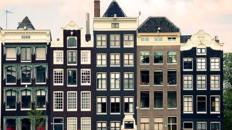 11 000 000 е приблизителният брой дървени стълбове в основите на сградите в Амстердам. Много от сградите в града се поддържат от 15-20 метрови дървени колове, който са забодени на около 11 метра дълбочина. Типична амстердамска къща има по 10 дървени кола, но централната гара е изградена от около 9000 такива.
