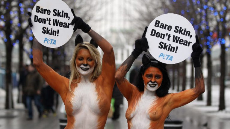 PETA не се шегува - защитава животните с порно