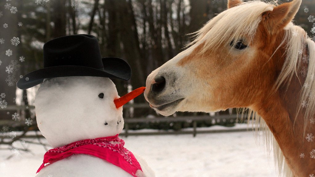 Haflinger Horse Steals a Snowman's Carrot Nose