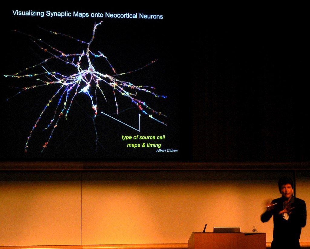 Henry_Markram_-_Visualizing_Synaptic_Maps_onto_Neocrortical_Neurons