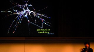 Henry_Markram_-_Visualizing_Synaptic_Maps_onto_Neocrortical_Neurons