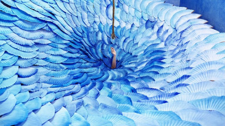 Приказки в стая