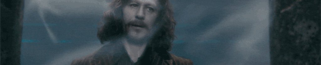 Той имаше толкова много причини да живее! Най-вече - Хари. Името му най-накрая бе изчистено, а имаше толкова изгубено време, което трябваше да навакса. Освен това, падането през арка към отвъдния свят, бе наистина депресиращ начин да изгубим Сириус Блек