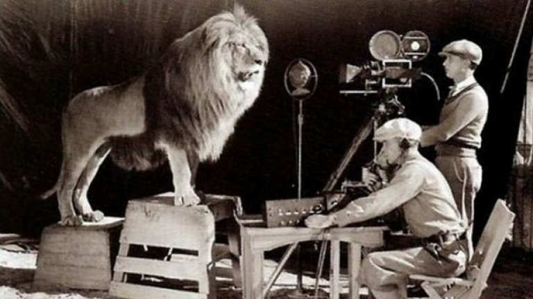 Заснемане на прочутата заставка с лъва на Metro-Goldwyn-Mayer