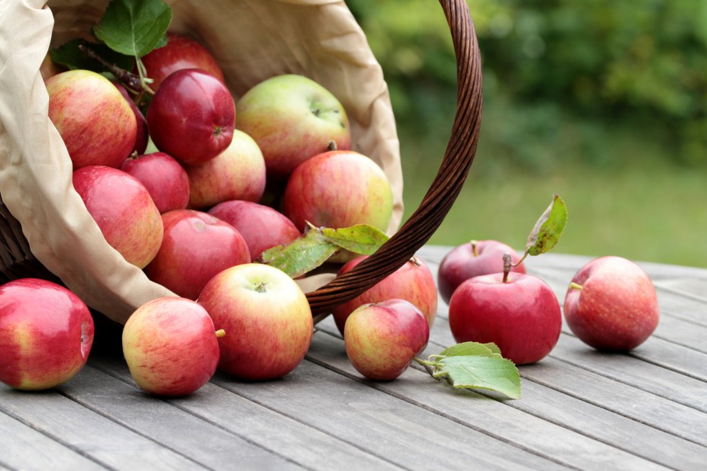 Ябълки

Ябълките също са богати на фибри и засищат за по-дълъг период от време. Също така съдържат полифеноли, които доказано имат антиоксидантно въздействие. 

Най-хубавото е, че ябълките могат да се консумират не само директно или в смутита, но и лесно могат да станат част от някоя здравословна рецепта за вкусен десерт.