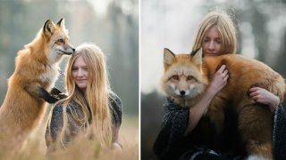 ица, лисица