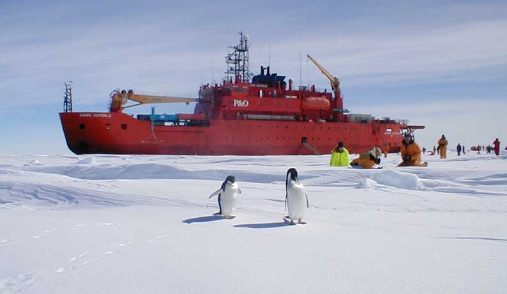 Antarctica