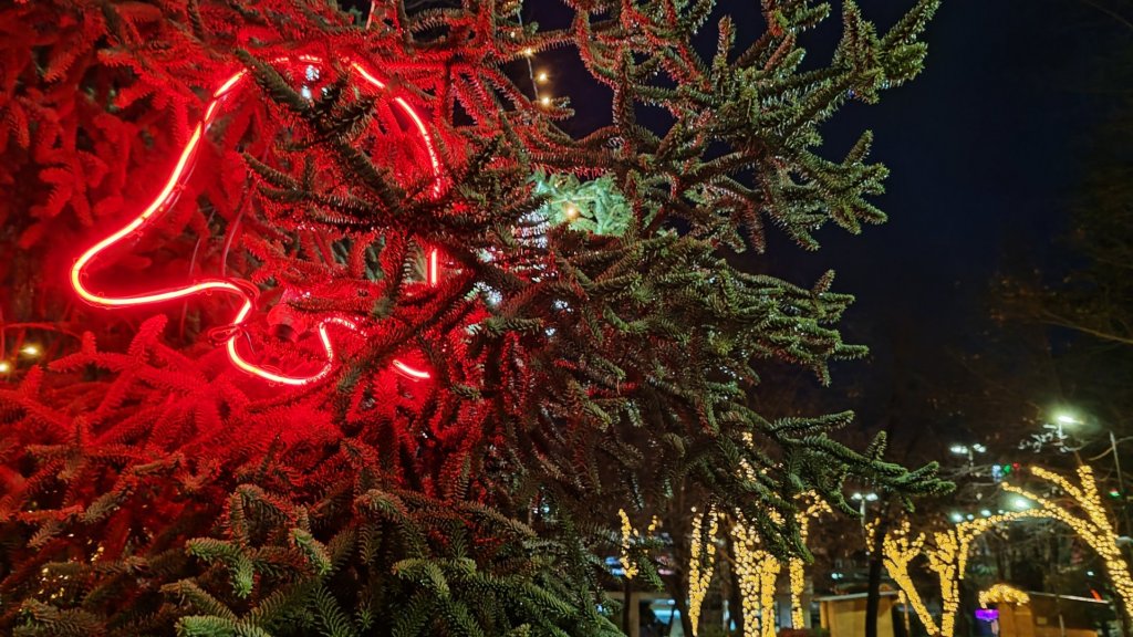 Коледната магия на… Благоевград