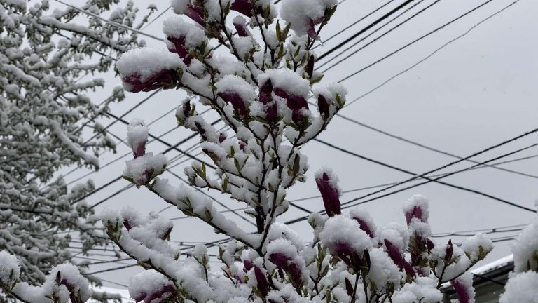 Денят ще е хладен