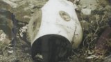 02010019_radioactive_cesium_source_Goiânia_accident
