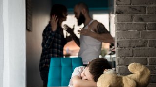 Тепърва те трябва да бъдат разгледани в Пленарна зала