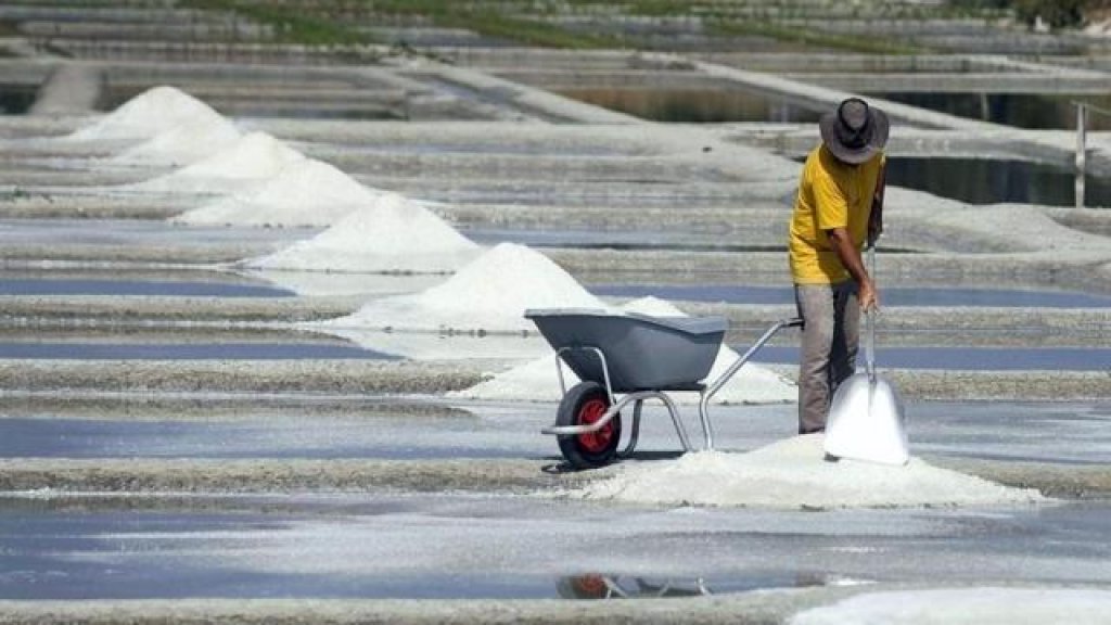 salt