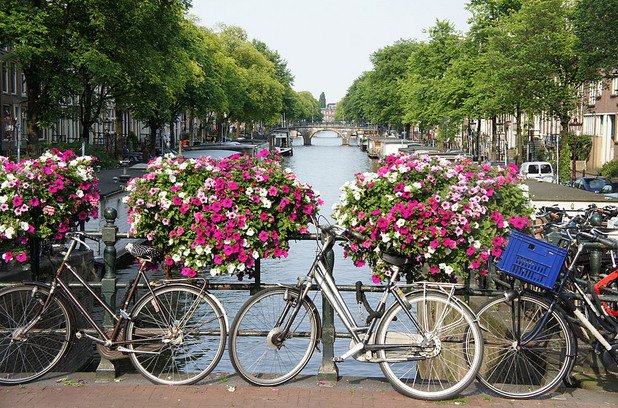 Приблизително 881 000 броя велосипеди се движат по централните улици на Амстердам. Това е доста странно, защото според статистиката в центъра живеят само 799 400 души. Твърди се още, че около 100 000 колела се крадат всяка година в града. Ахаа... Ясна е работата!