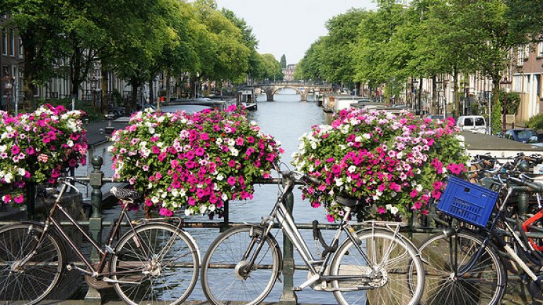 Приблизително 881 000 броя велосипеди се движат по централните улици на Амстердам. Това е доста странно, защото според статистиката в центъра живеят само 799 400 души. Твърди се още, че около 100 000 колела се крадат всяка година в града. Ахаа... Ясна е работата!
